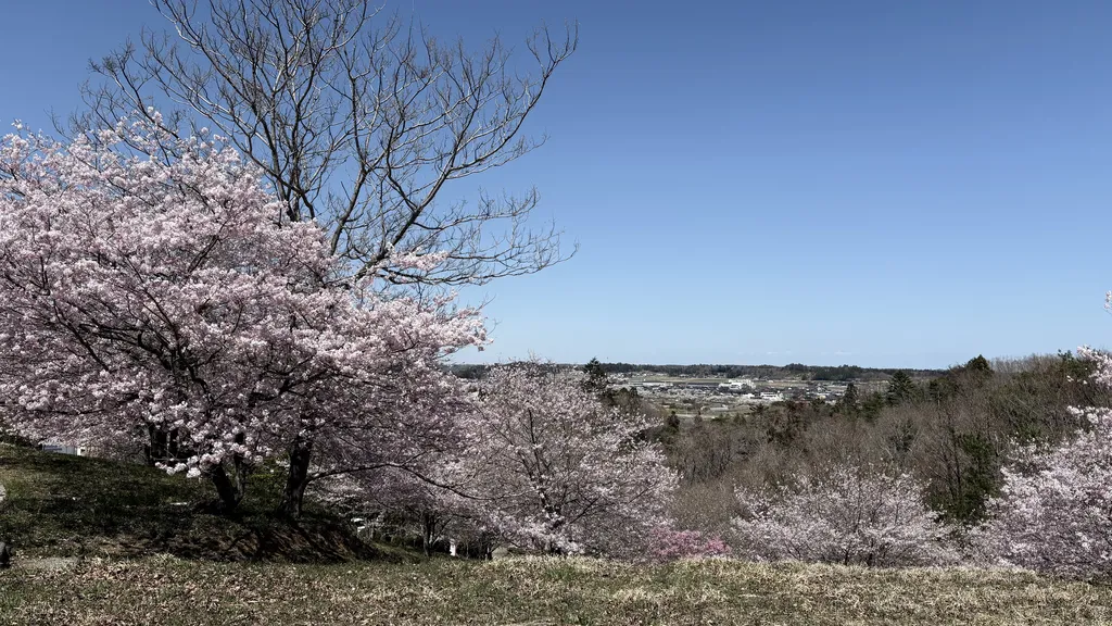 南相馬の様子